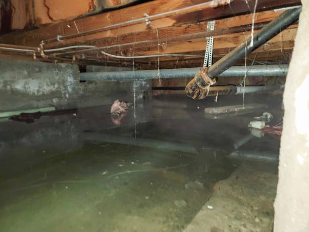 Best 24/7 water damage repair  in Corning, CA