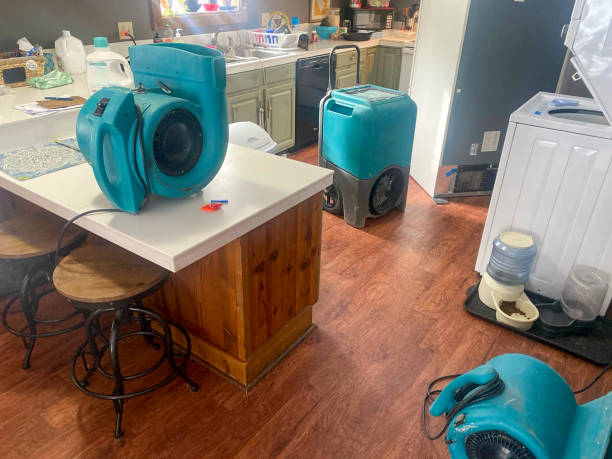 Best Water damage restoration near me  in Corning, CA