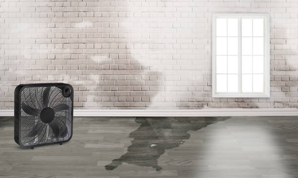 Best Basement water damage restoration  in Corning, CA